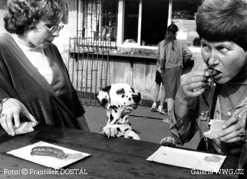 Foto: &copy; František Dostál